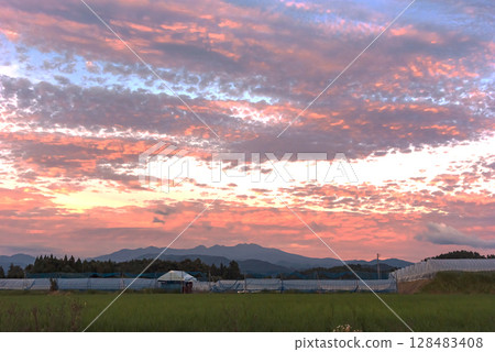 250715Uenodairaz028 250715Uenodairaz028 128483408