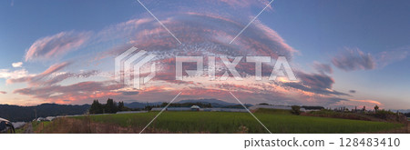 250715Uenodairaz030-040P 250715Uenodairaz030-040P 128483410