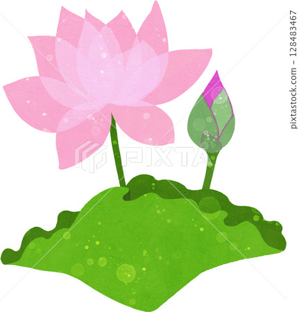 蓮花、花蕾和葉子的插圖素材 128483467