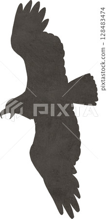 Illustration material of silhouettes of birds such as hawks, eagles, and kites 128483474