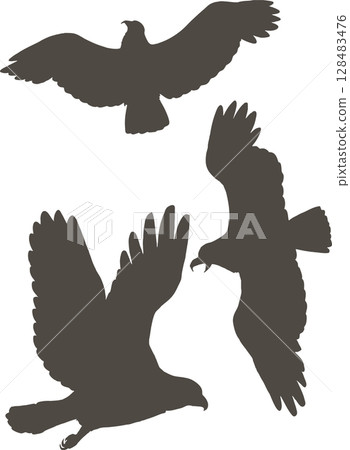 鷹、雕、鳶等鳥類剪影的插圖素材向量 鷹、雕、鳶等鳥類剪影的插圖素材向量 128483476