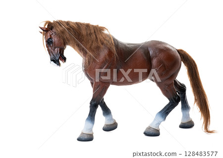 horse isolated horse isolated 128483577