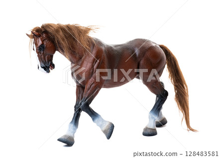 horse isolated 128483581