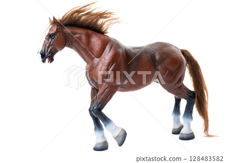 horse isolated 128483582