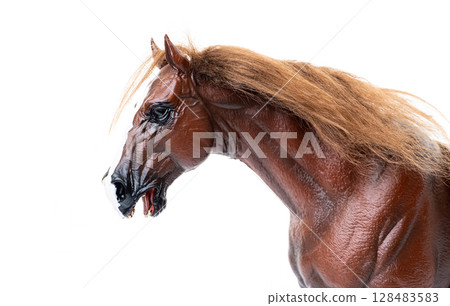 horse isolated horse isolated 128483583