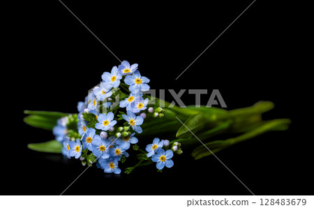 forget-me-not flowers 128483679