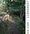 Walk in the woods Walk in the woods 128484607