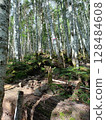 hiking trail in the mountains hiking trail in the mountains 128484608