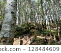 A small shrine in the mountains A small shrine in the mountains 128484609