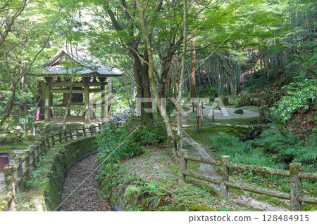 夏季的龍造寺 夏季的龍造寺 128484915