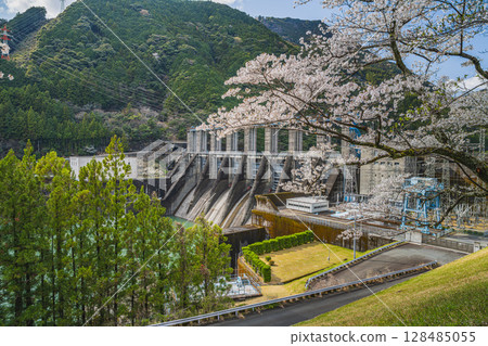 濱松市（靜岡縣）的秋葉水庫和千本櫻 128485055