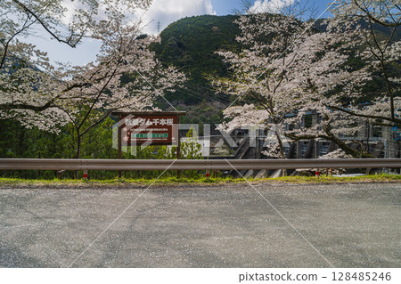 濱松市（靜岡縣）的秋葉水庫和千本櫻 128485246
