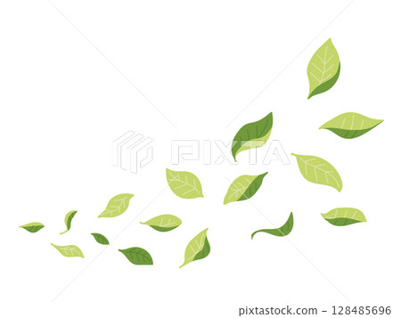 新鮮的綠葉在風中飛舞 128485696