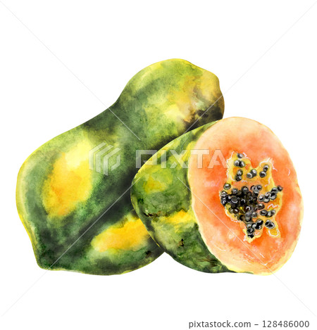 Watercolor whole and half papaya tropical fruit 128486000
