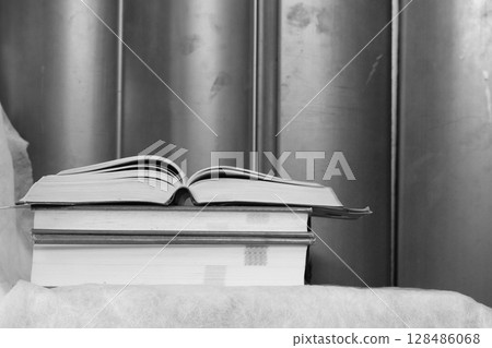 Monotone old dictionary 128486068