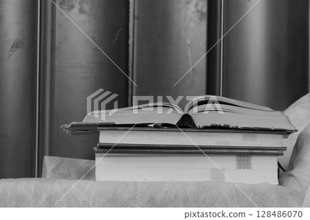 Monotone old dictionary 128486070