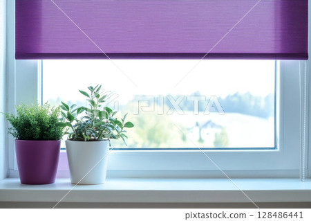 Motorized blinds purple color closeup in the window opening. Automatic home roller shades and curtains. Modern bottom up privacy shades half raised on apartment windows. Windowsill with plants 128486441