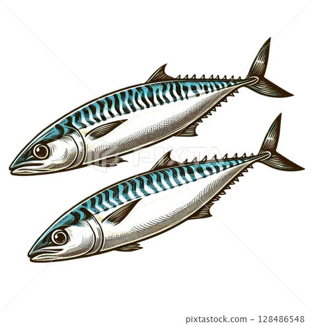 簡單的鯖魚插圖 128486548