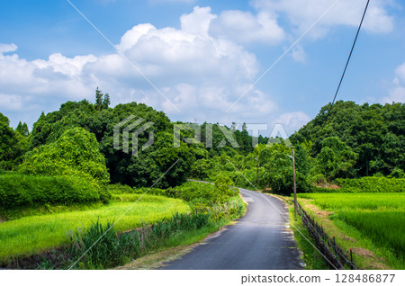 夏季鄉村道路 128486877