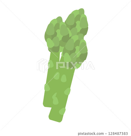 Asparagus illustration 128487383
