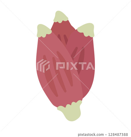 Myoga illustration 128487388