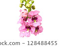 Angelonia Flower PNG Transparent Background 128488455
