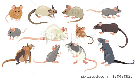 Rat collection. Cartoon cute mice and rats, adorable small comic different rodent characters, flat mice and rats home pets. Vector isolated characters set Rat collection. Cartoon cute mice and rats, adorable small comic different rodent characters, flat mice and rats home pets. Vector isolated characters set 128488923