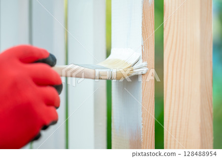 Painting new wooden fence with a brush. Man in protective glove painting timber plank of a fence in backyard in white color 128488954