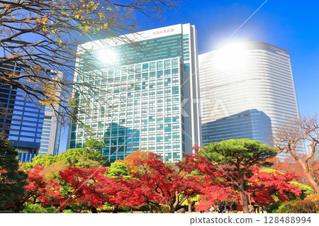 [Tokyo] Autumn leaves at Hama-rikyu Gardens and skyscrapers at Shiodome on a clear day (Hama-rikyu Gardens) 128488994