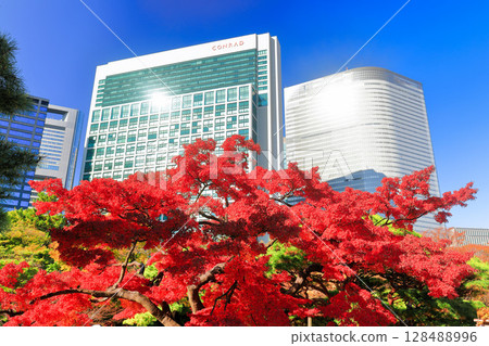 [Tokyo] Autumn leaves at Hama-rikyu Gardens and skyscrapers at Shiodome on a clear day (Hama-rikyu Gardens) 128488996
