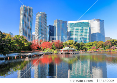 [東京] 晴朗的日子裡，濱離宮恩賜庭園的秋葉與薰留摩天大樓（濱離宮恩賜庭園） 128489006