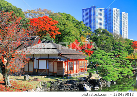[東京] 晴天的浜離宮恩賜庭園中島茶室與秋葉（浜離宮恩賜庭園） 128489018