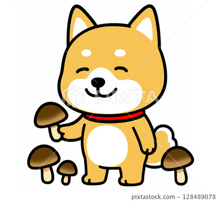 柴犬在秋季採摘美味的香菇 128489078