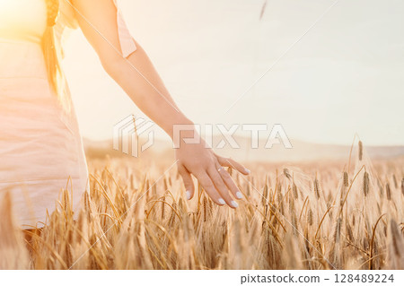 Woman wheat field. Agronomist, Woman farmer check golden ripe barley spikes in cultivated field. Closeup of female hand on plantation in agricultural crop management concept. Woman wheat field. Agronomist, Woman farmer check golden ripe barley spikes in cultivated field. Closeup of female hand on plantation in agricultural crop management concept. 128489224