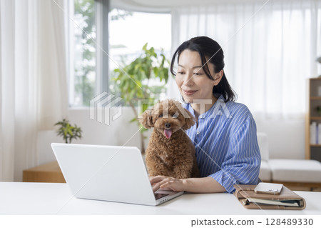 A woman in her fifties working on a laptop and a toy poodle: working from home image A woman in her fifties working on a laptop and a toy poodle: working from home image 128489330