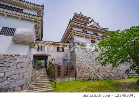 (Saga Prefecture) Karatsu Castle surrounded by fresh greenery 128489343