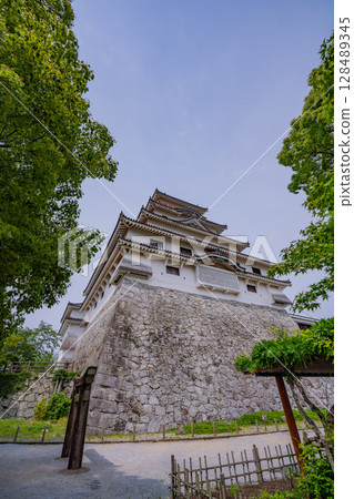 (Saga Prefecture) Karatsu Castle surrounded by fresh greenery (Saga Prefecture) Karatsu Castle surrounded by fresh greenery 128489345