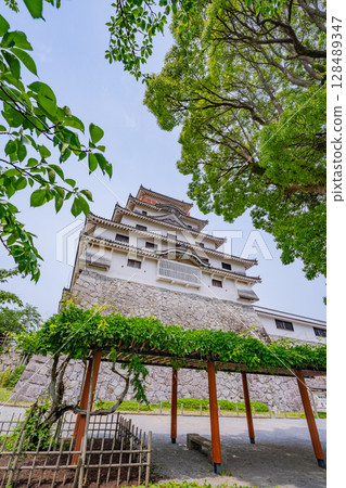 (Saga Prefecture) Karatsu Castle surrounded by fresh greenery (Saga Prefecture) Karatsu Castle surrounded by fresh greenery 128489347