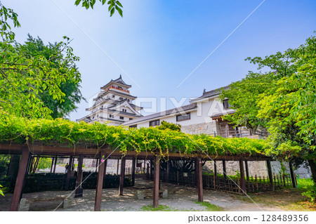 (Saga Prefecture) Karatsu Castle surrounded by fresh greenery (Saga Prefecture) Karatsu Castle surrounded by fresh greenery 128489356