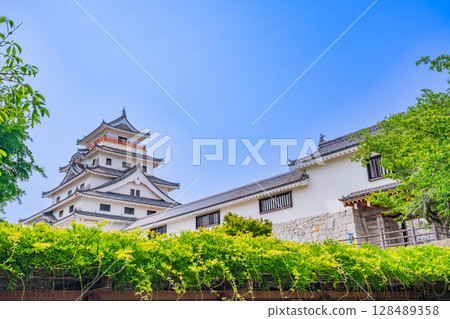 (Saga Prefecture) Karatsu Castle surrounded by fresh greenery (Saga Prefecture) Karatsu Castle surrounded by fresh greenery 128489358