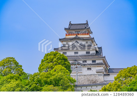 (Saga Prefecture) Karatsu Castle surrounded by fresh greenery (Saga Prefecture) Karatsu Castle surrounded by fresh greenery 128489360