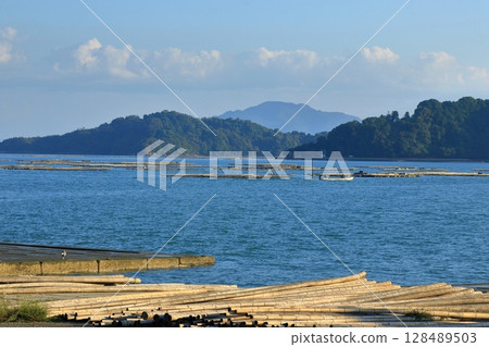 Oyster rafts and bamboo for oyster rafts (Seto Inland Sea) Oyster rafts and bamboo for oyster rafts (Seto Inland Sea) 128489503