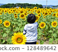 向日葵領域的孩子 128489642