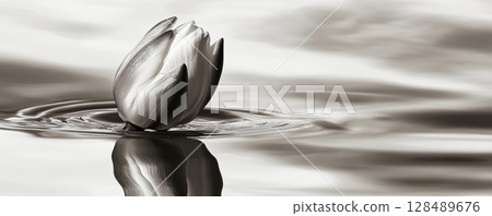 Lotus flower on calm water surface, tranquil nature scene. Serenity and peace concept 128489676