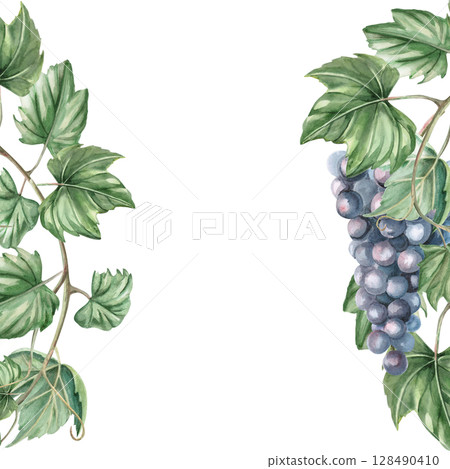 Square frame with ripe bunch of dark grapes. Isolated watercolor illustration for window display, menu, design of printed products for fairs, harvest day. Square frame with ripe bunch of dark grapes. Isolated watercolor illustration for window display, menu, design of printed products for fairs, harvest day. 128490410
