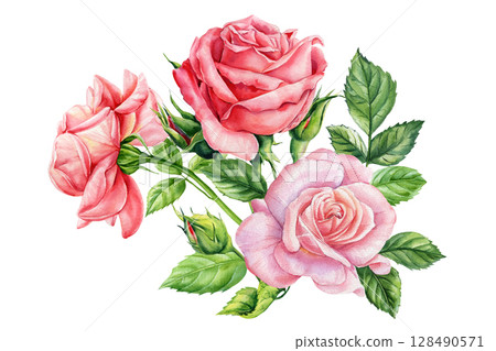 Pink roses watercolor floral bouquet romantic botanical illustration for feminine design wedding invitation and decor 128490571