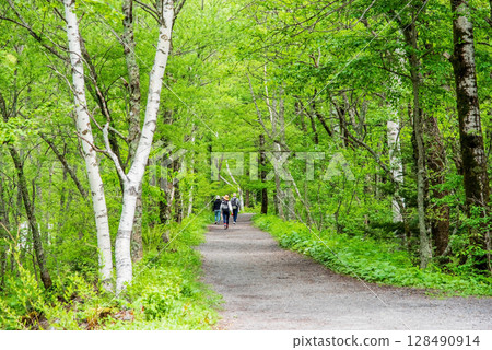 上高地風景“新綠色漫步” 128490914