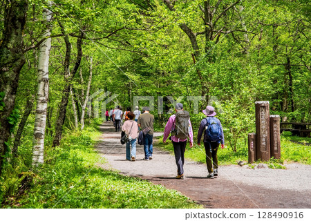 上高地風景“新綠色漫步” 128490916