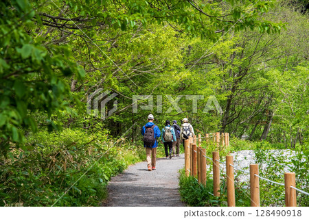 Scenery of Kamikochi "Promenade through fresh greenery" Scenery of Kamikochi "Promenade through fresh greenery" 128490918