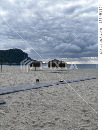 street cat walks through the evening city. High quality photo 128491104